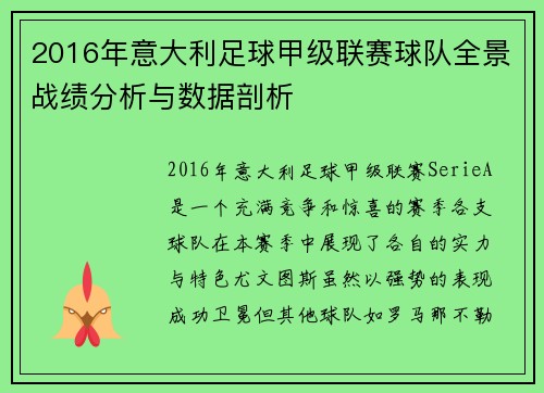 2016年意大利足球甲级联赛球队全景战绩分析与数据剖析